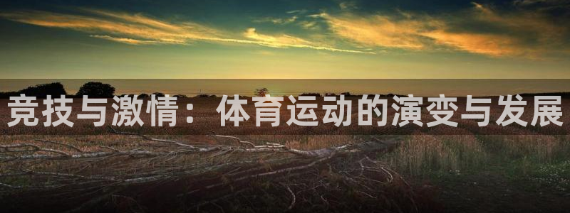 风速体育篮球直播nba：竞技与激情：体育运动的演变与发展