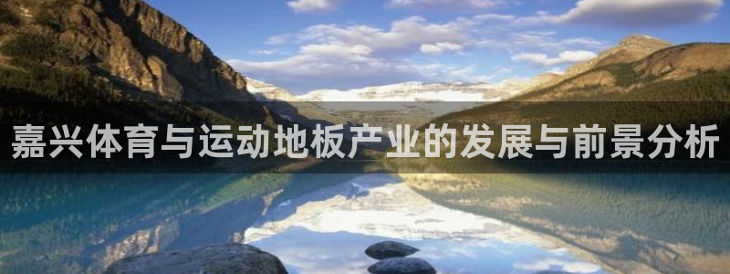 风速体育nba直播：嘉兴体育与运动地板产业的发展与前景分析