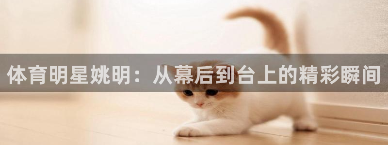 风速体育在线：体育明星姚明：从幕后到台上的精彩瞬间