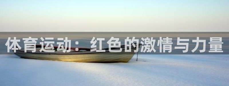 风速体育在线观看