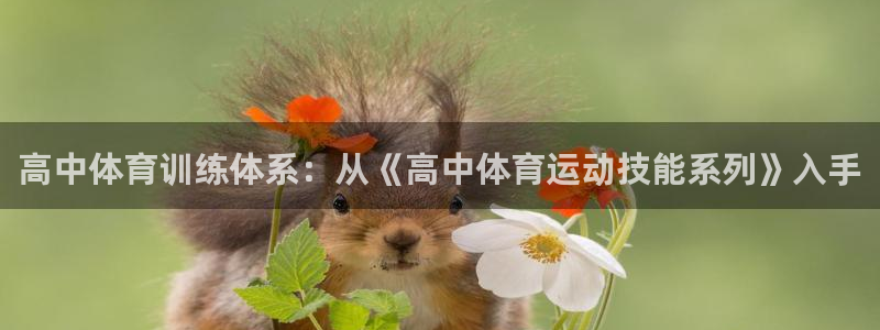 风速体育ios