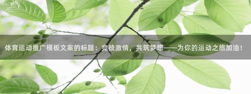 风速体育nba直播