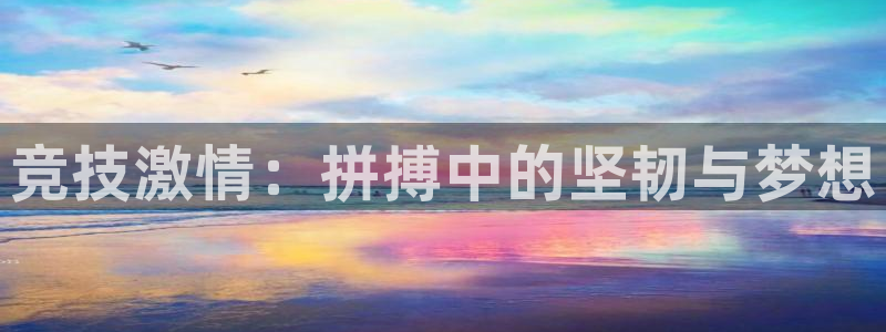 风速体育韩春胜：竞技激情：拼搏中的坚韧与梦想