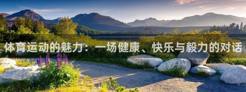 风速体育app下载官网最新版：体育运动的魅力：一场健康、快乐与毅力的对话