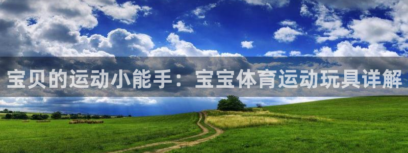 风速体育还有什么体育：宝贝的运动小能手：宝宝体育运动玩具详解
