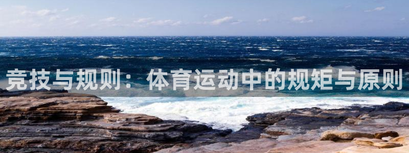 关键词：竞技与规则：体育运动中的规矩与原则